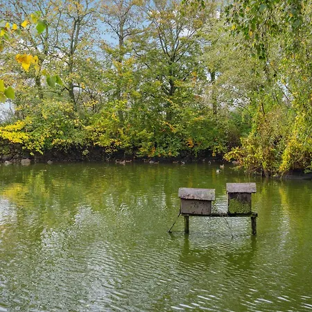 Apartament Cozy In With Kitchen