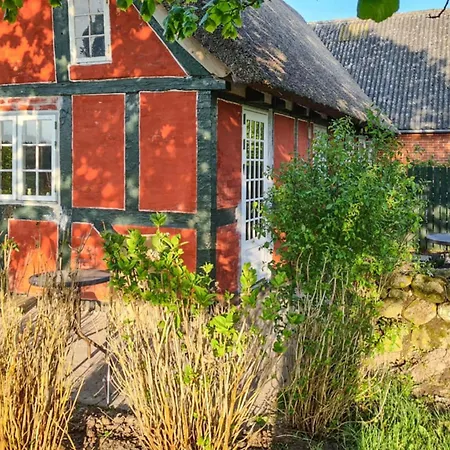 Apartament Cozy In With Kitchen Fåborg