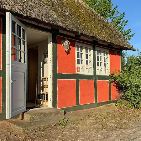 Cozy In With Kitchen Apartament *