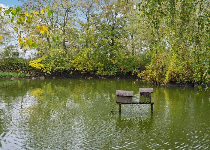Apartament Cozy In With Kitchen